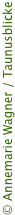 copyright2.png